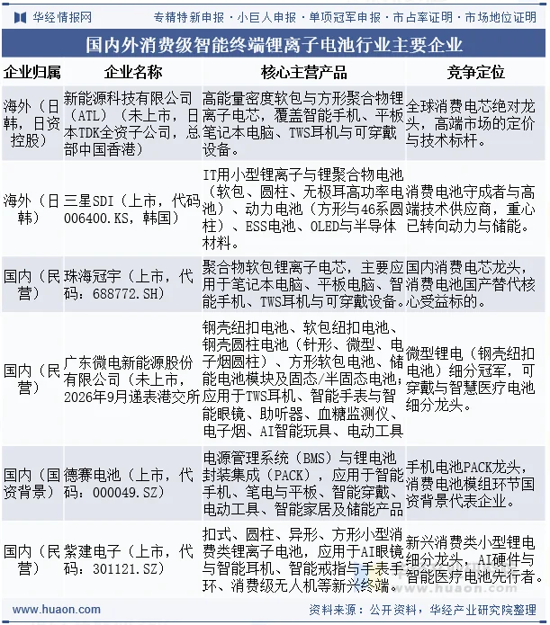 国内外消费级智能终端锂离子电池行业主要企业 国内外消费级智能终端锂离子电池行业主要企业