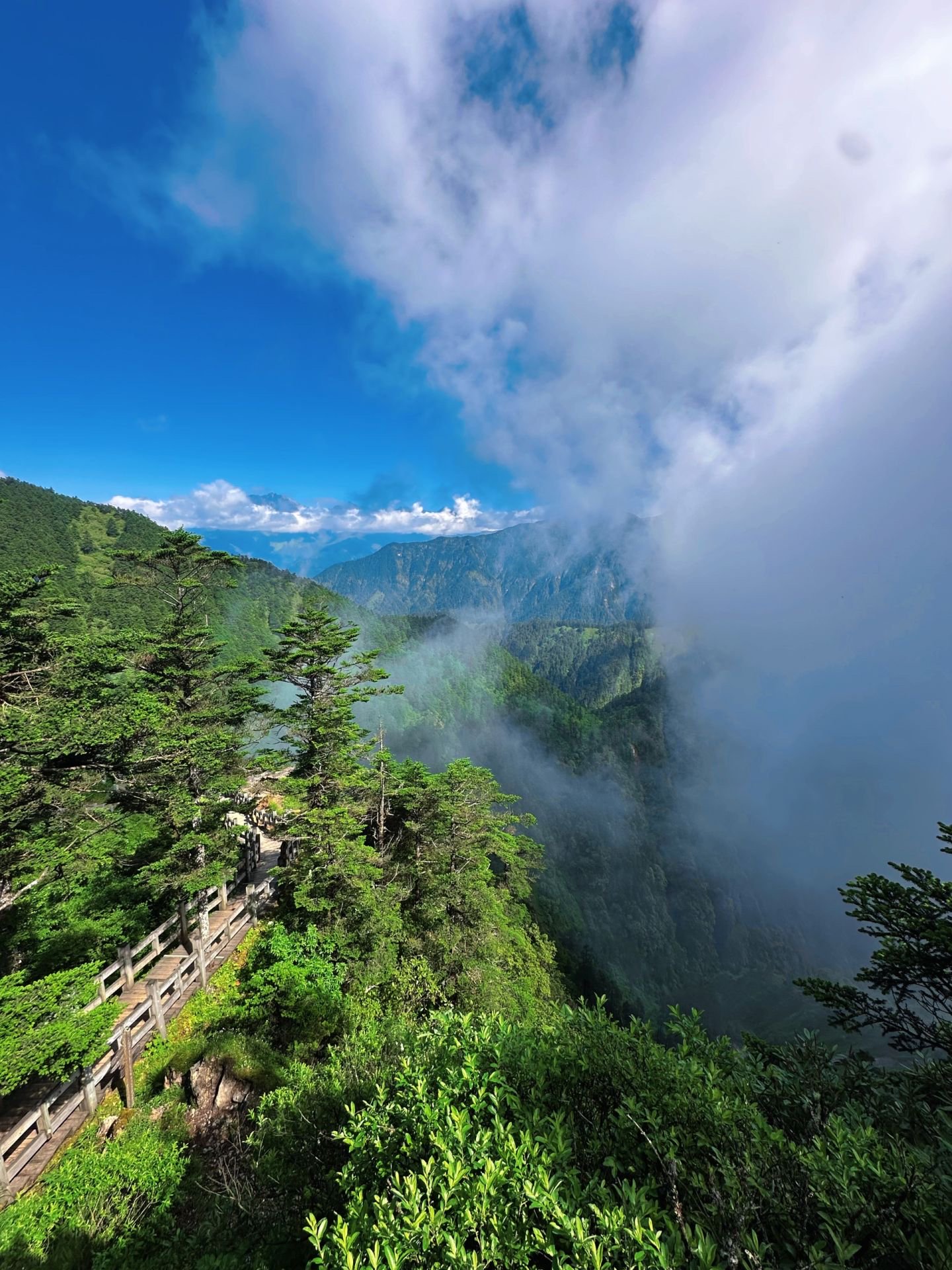 （王荣 各大景区供图）