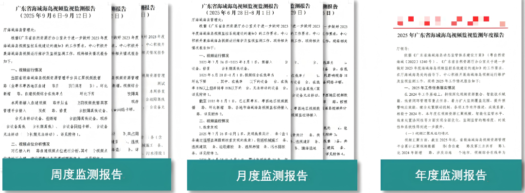 图片11-周报、月报、年报版式.png