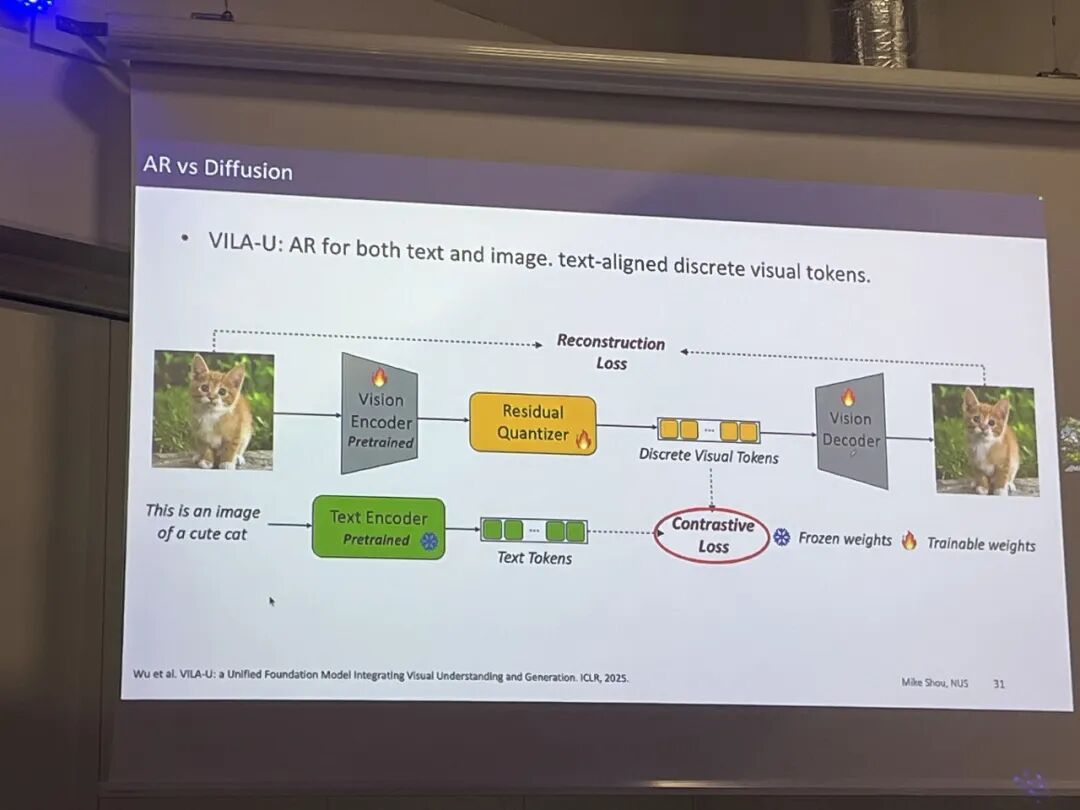 NUS Show Lab 寿政教授:打通自回归与离散扩散,打造下一代具身大模型底座|ECCV 2026