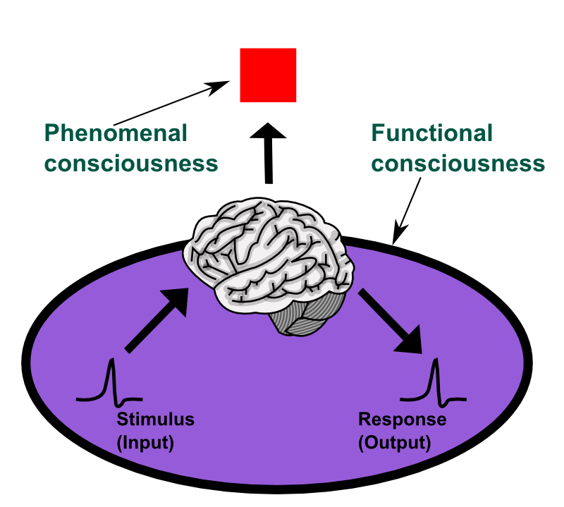 Artificial Consciousness - Wikiversity