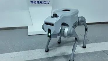 考拉悠然无界再登WorldArena 2.0全球前列,两项核心指标全球第一