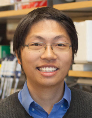 ▲骆凯尔（Kyle Loh，音译），斯坦福医学院发育生物学副教授，本研究通讯作者