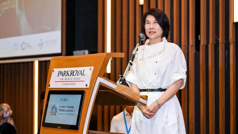(图为董明珠在全球制冷降温承诺大会上发言)
