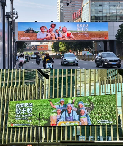 麦麦农场丰收群像，来到不同城市与消费者相遇