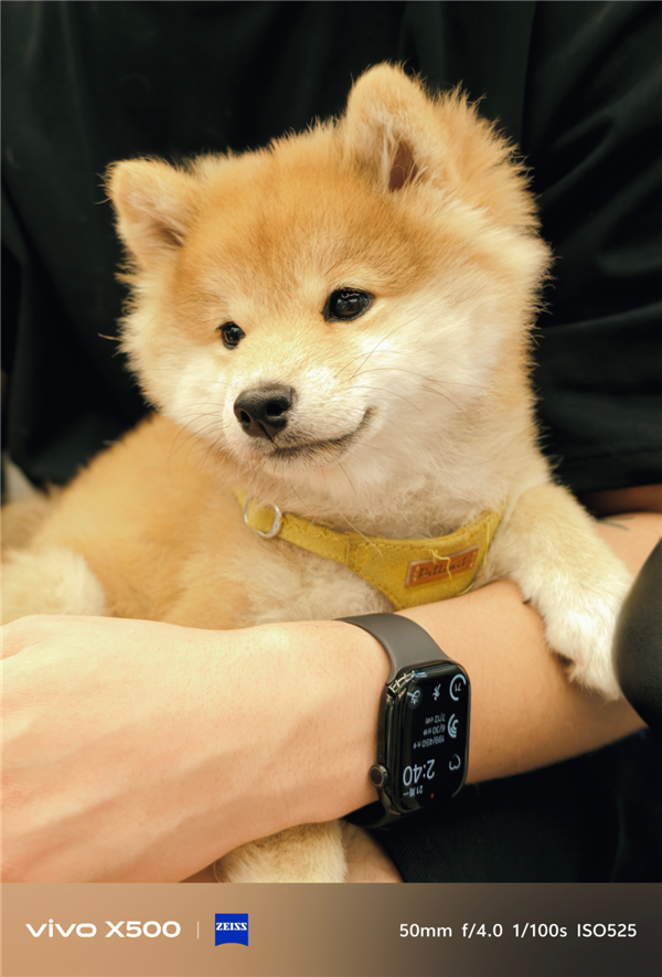 vivo X500标准版卖到5499 蓝厂率先给所有友商打了个样