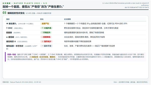 人类疯狂改造番茄 就为了让你吃到维生素D